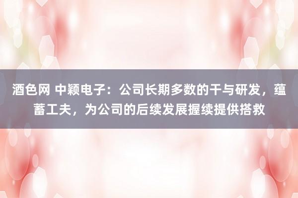 酒色网 中颖电子：公司长期多数的干与研发，蕴蓄工夫，为公司的后续发展握续提供搭救