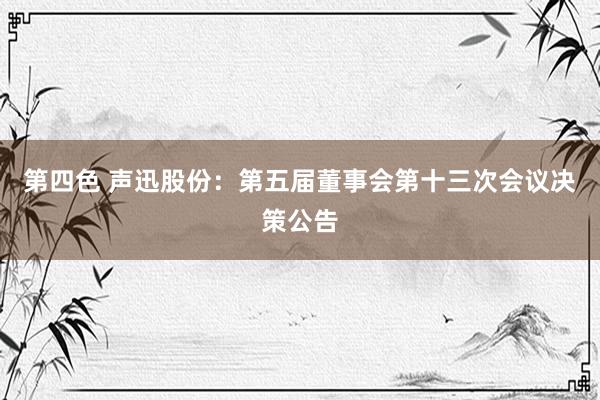 第四色 声迅股份：第五届董事会第十三次会议决策公告