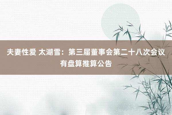 夫妻性爱 太湖雪：第三届董事会第二十八次会议有盘算推算公告