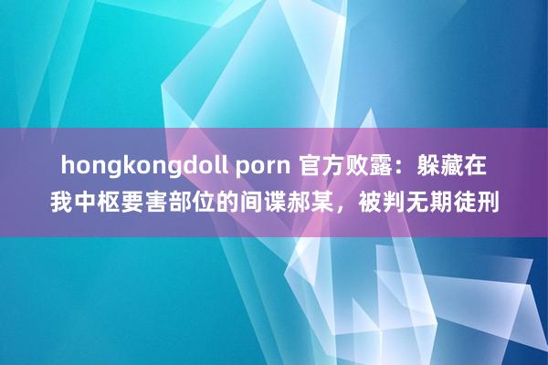hongkongdoll porn 官方败露：躲藏在我中枢要害部位的间谍郝某，被判无期徒刑