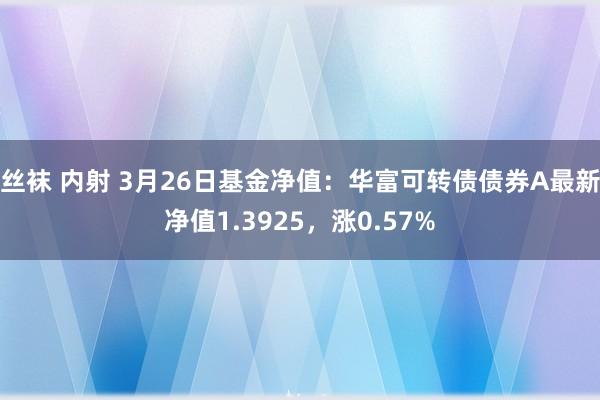 丝袜 内射 3月26日基金净值：华富可转债债券A最新净值1.3925，涨0.57%