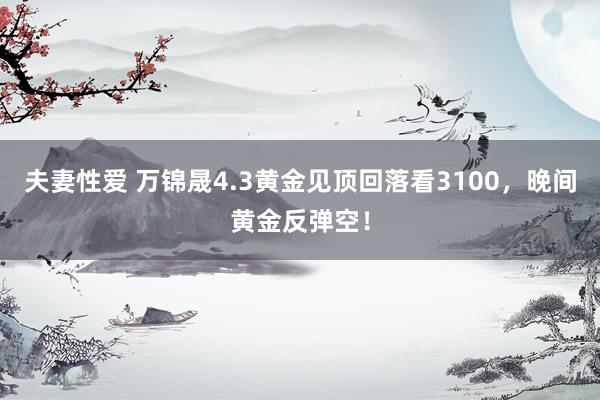 夫妻性爱 万锦晟4.3黄金见顶回落看3100，晚间黄金反弹空！