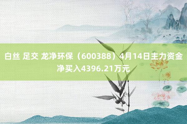 白丝 足交 龙净环保（600388）4月14日主力资金净买入4396.21万元