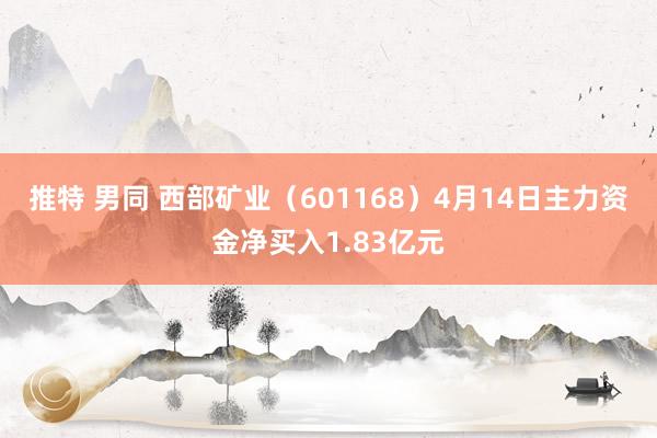 推特 男同 西部矿业（601168）4月14日主力资金净买入1.83亿元