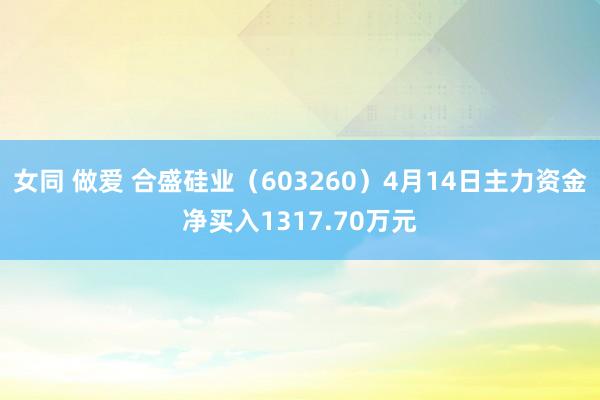 女同 做爱 合盛硅业（603260）4月14日主力资金净买入1317.70万元