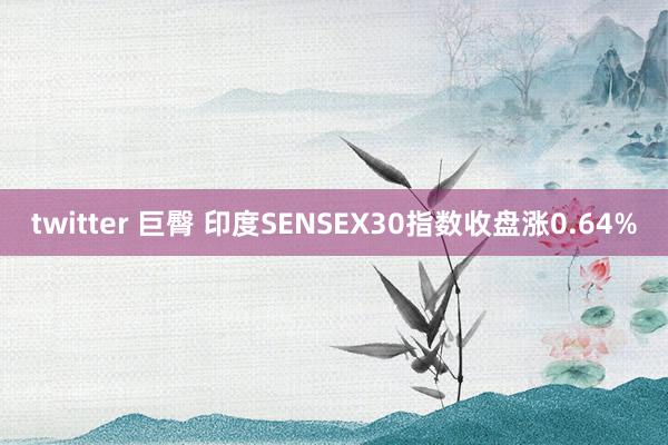 twitter 巨臀 印度SENSEX30指数收盘涨0.64%