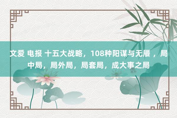 文爱 电报 十五大战略，108种阳谋与无餍 ，局中局，局外局，局套局，成大事之局