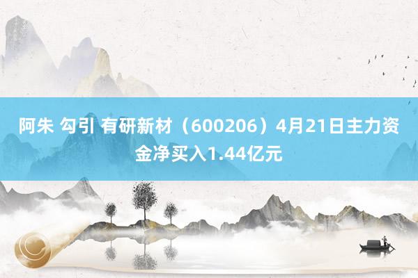 阿朱 勾引 有研新材（600206）4月21日主力资金净买入1.44亿元