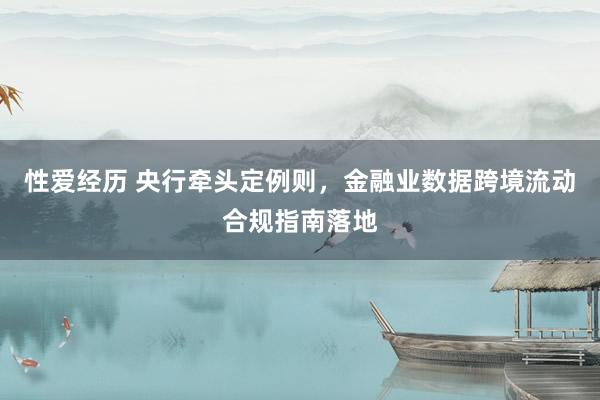 性爱经历 央行牵头定例则，金融业数据跨境流动合规指南落地